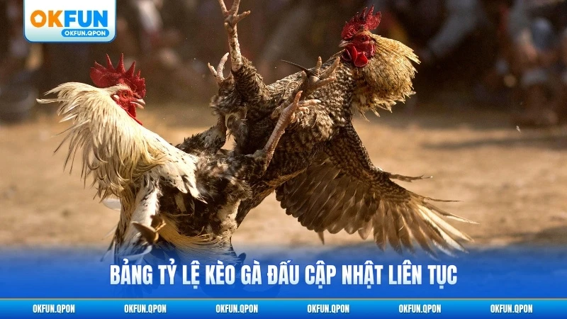 Bảng tỷ lệ kèo gà đấu cập nhật liên tục